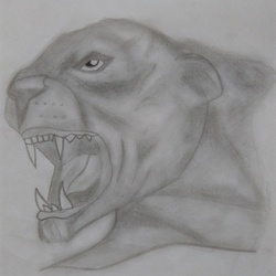 Пантера,оскал 