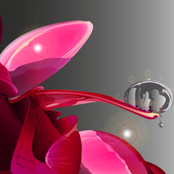 Красивый пион с утренней расой