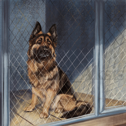 Иллюстрация для статьи о полицейской собаке