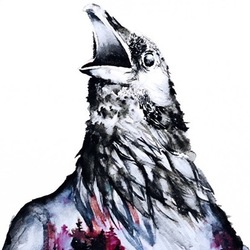 Шторм в тишине 