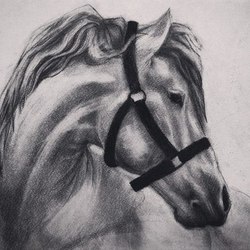 Мечты о свободе 