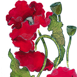 Серия "Papaver"
