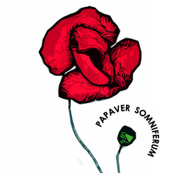 Серия "Papaver"