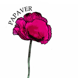 Серия "Papaver"