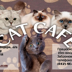 Рекламный флаер