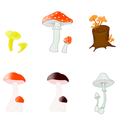 Векторные грибы