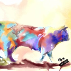 Радужный кот