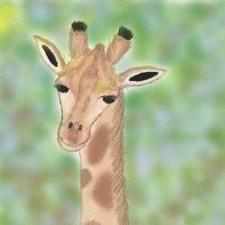 Малыш Жираф