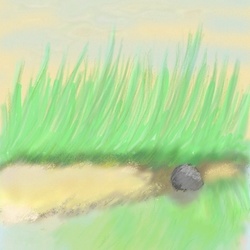 Берег водоёма и закат