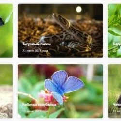 Животные Красной книги