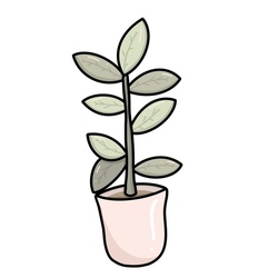 plant 🌱 