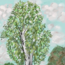 Береза и вид на озеро 