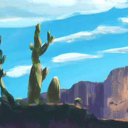 Cacti in the sunset
