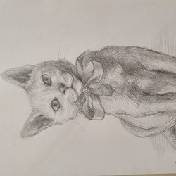 Котенок с бантиком