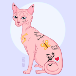 Tatty cat
