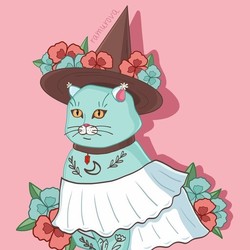 Witch cat