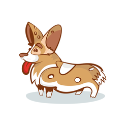 Corgy