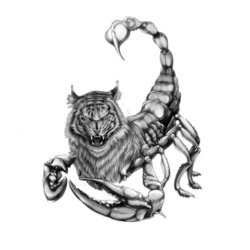 Tigersorcpion