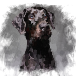 цифровой портрет собаки, масло