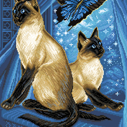 Кошки на фоне звёздного неба