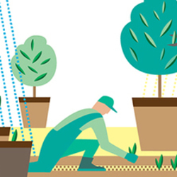 сезонные работы