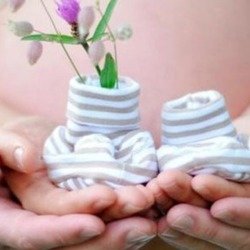  ЭКО по направлению