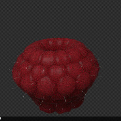 raspberries 3d