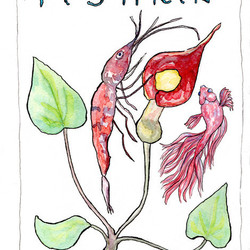 Логотип компании Fishkin