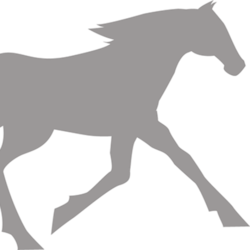 иконки для онлайн школы верховой езды