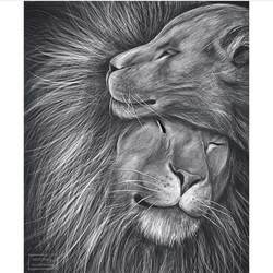 Лев и львицы 