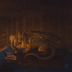 Книжный дракон
