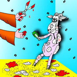 Иллюстрация к басне Эзопа про овцу и стригаля