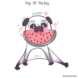 Pug of the day