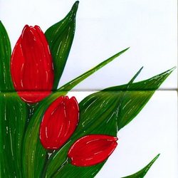 Тюльпаны