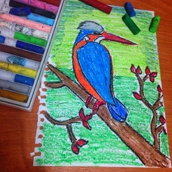 Птица - масляная пастель