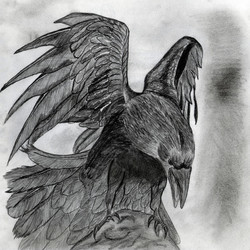 Raven