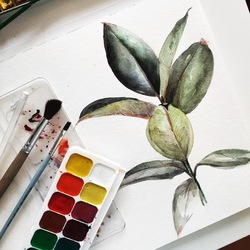 Флористика_1