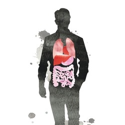 Illustration for story by Jamie Brindle Any Body