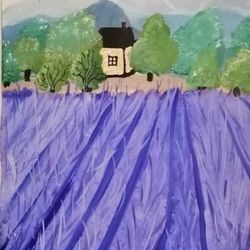 Лавандовые поля