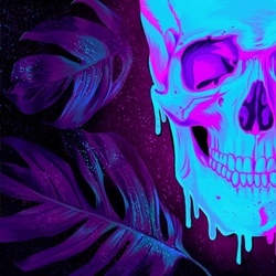  Neon skull