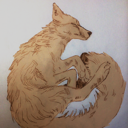 Набросок лисы к инктоберу