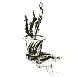 Неизвестный цветок