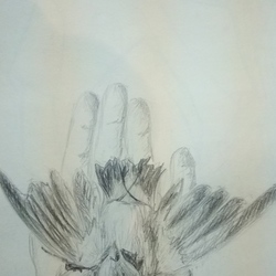 Уходящая жизнь 