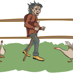 Иллюстрация к сказке "Потрясающий мистер Лис""