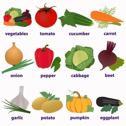 карточки для изучения английского языка (овощи)