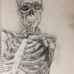 skeleton