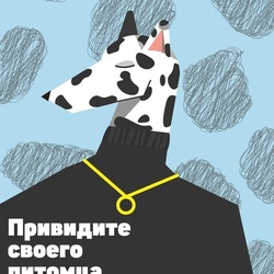 Примеры моих работ 