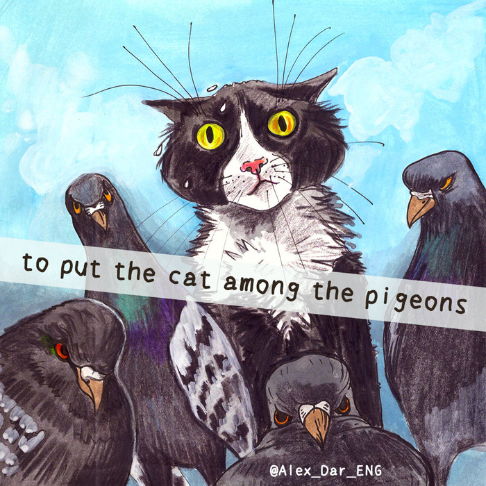 Хср кошка среди голубей. Put the Cat among the Pigeons идиома. Кот среди голубей картинка. Чужак кот среди голубей.
