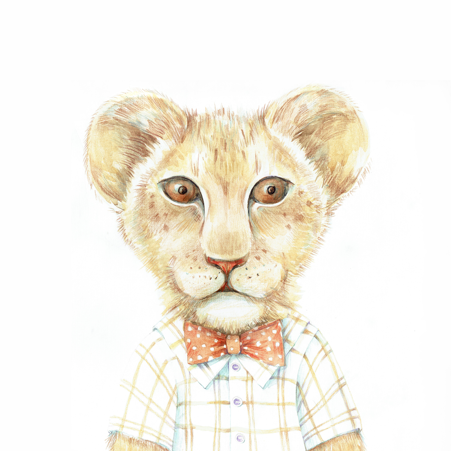 портрет львенка с бабочкой