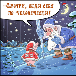 Год Свиньи